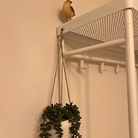 Avignon, Vut-47-445 * 바야돌리드