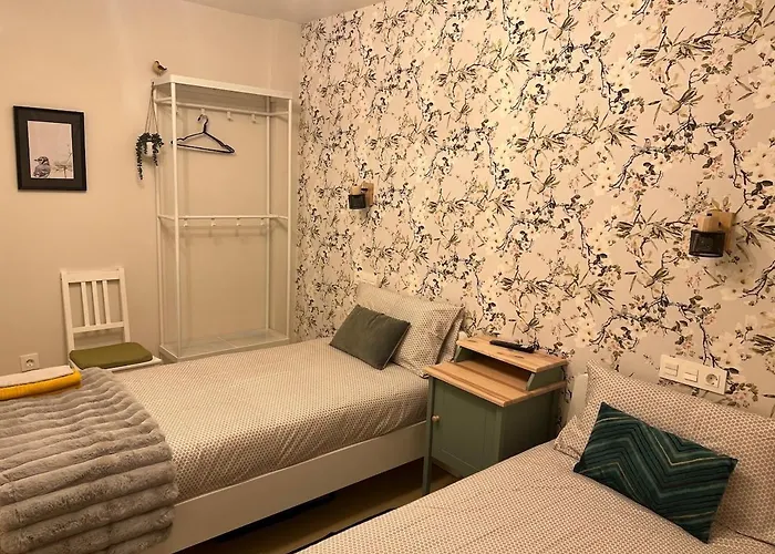 Avignon, Vut-47-445 바야돌리드