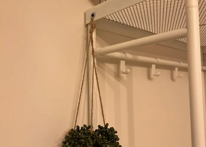 Avignon, Vut-47-445 * 바야돌리드